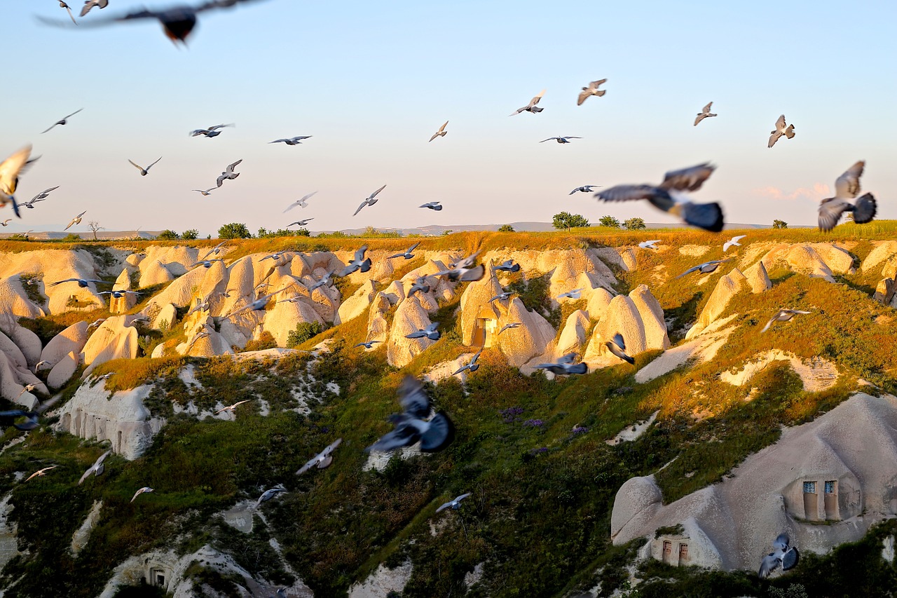 Cappadocia Tour